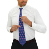 Picture of Triangle Necktie.