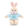 Picture of Stuffed Animals with Tee,