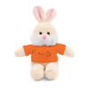 Picture of Stuffed Animals with Tee