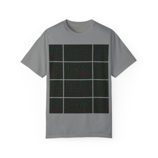 Picture of Programmer T-shirt.