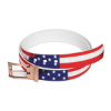 Picture of America Star Belt.