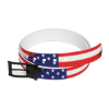 Picture of America Star Belt.