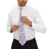 Picture of Chrysanthemum Necktie.