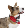 Picture of Pirate Dog Bandana Collar